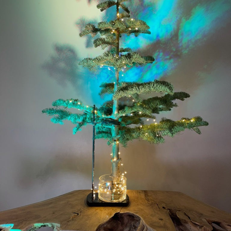 Table Mount