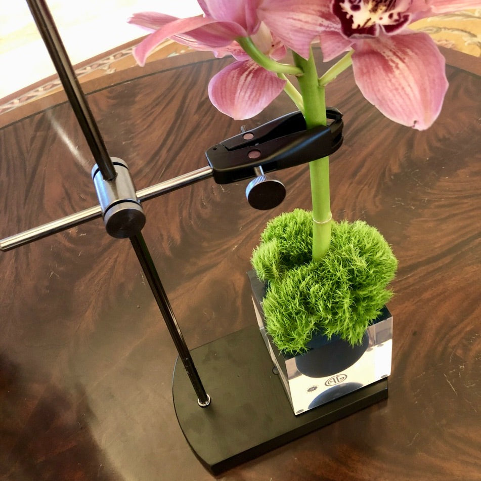 Table Mount