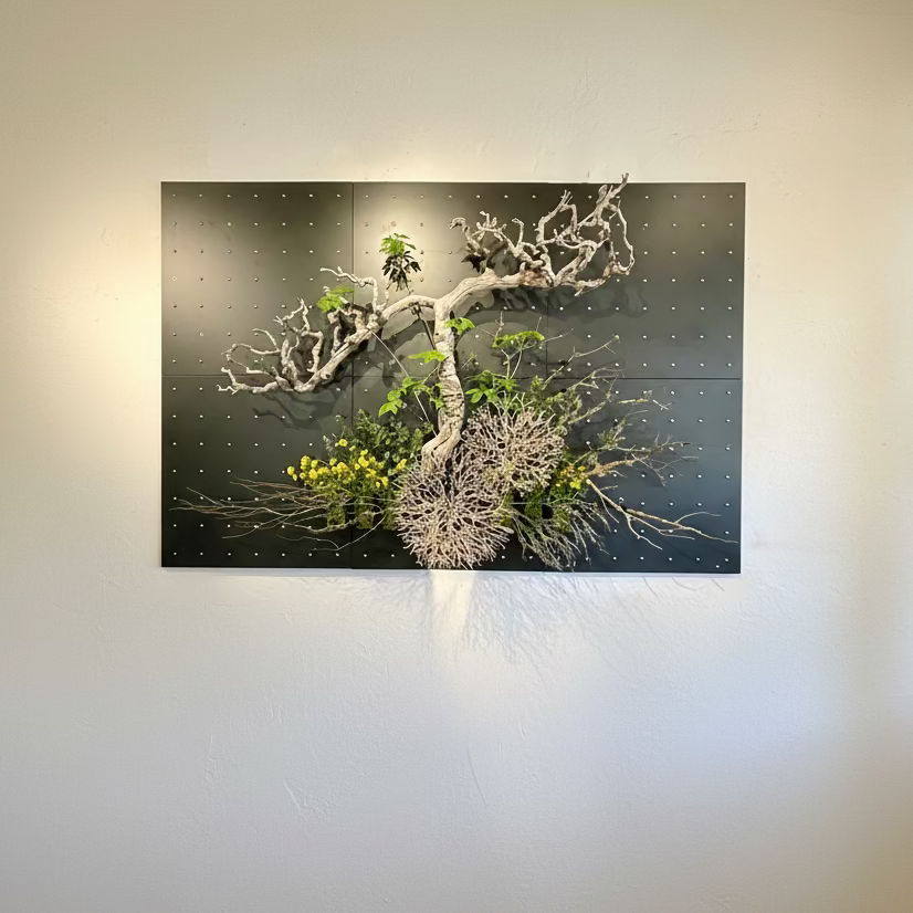 Curator Wall Panel 42" x 42"