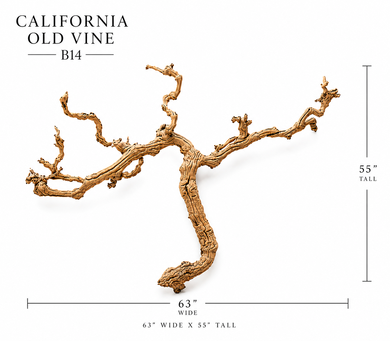 California Old Grapevine B14