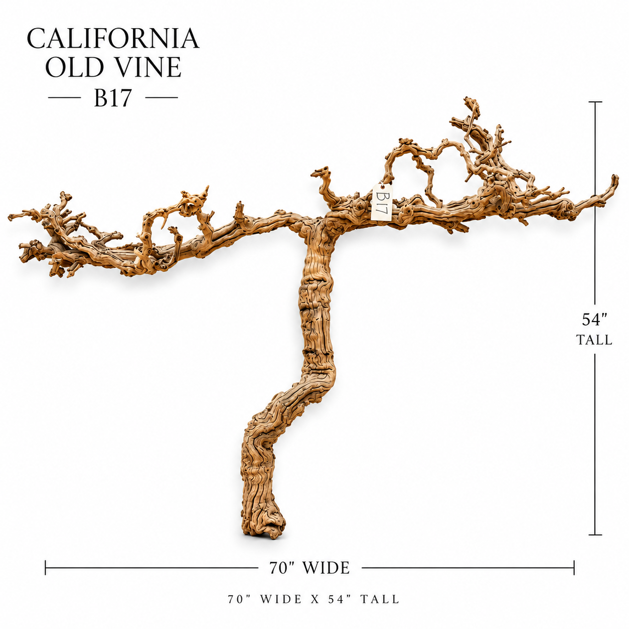 California Old Grapevine B17