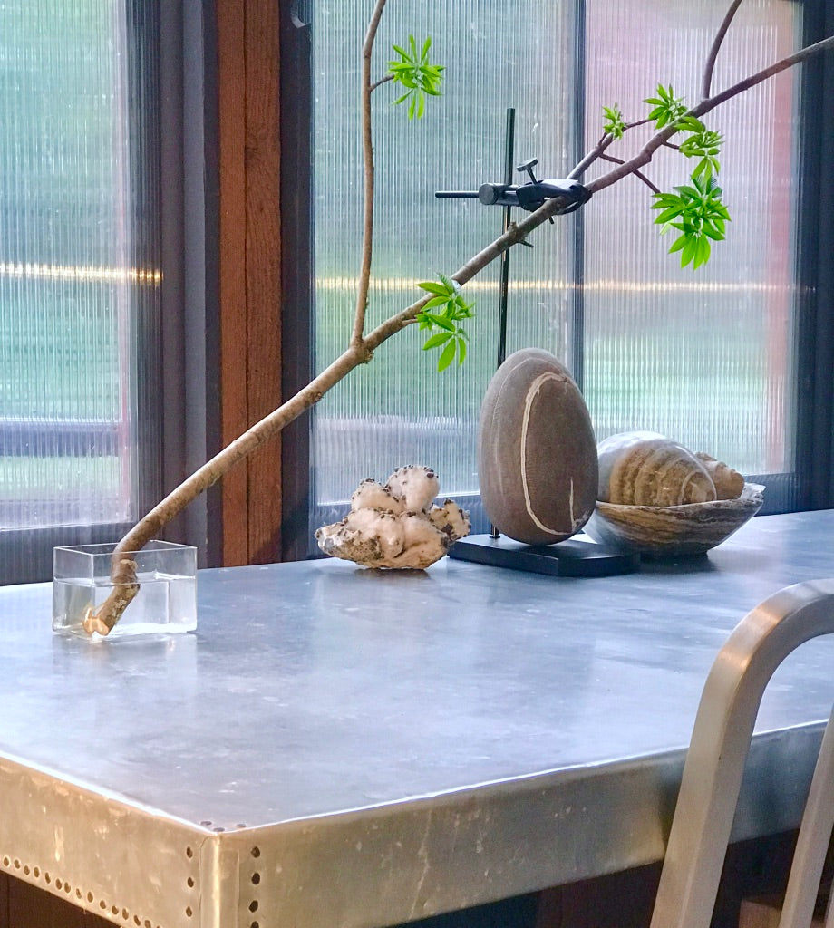 Table Mount