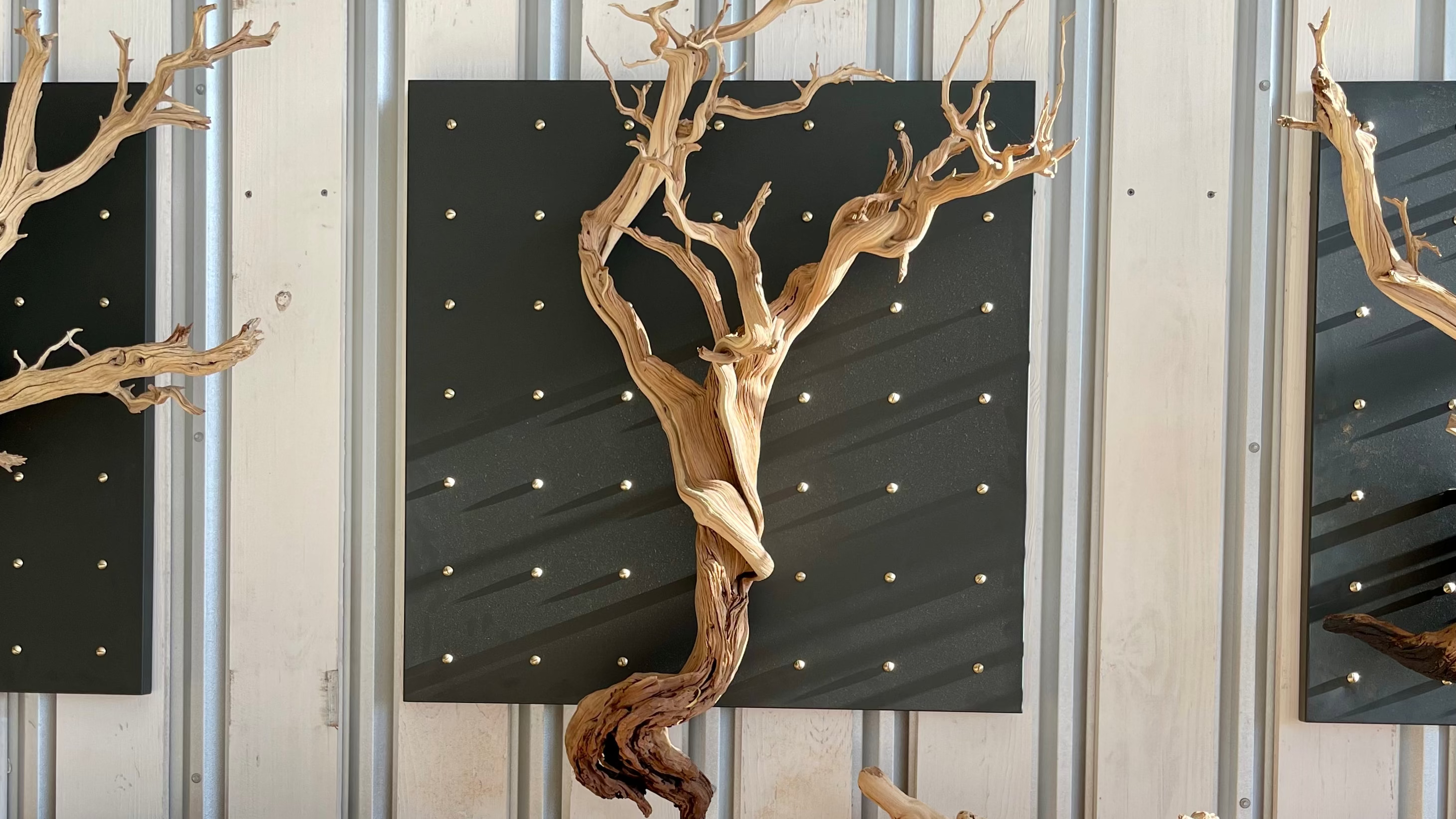 Branches