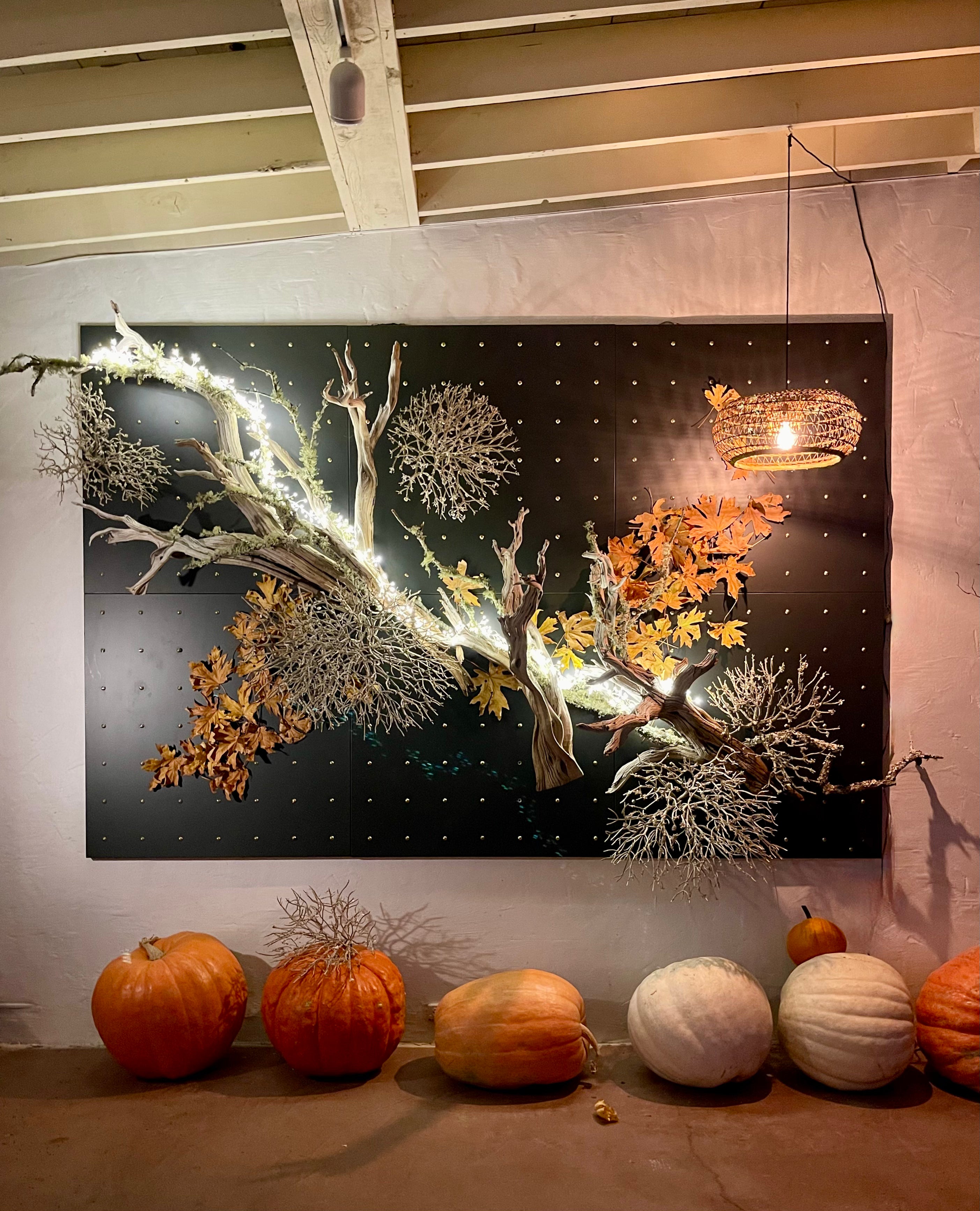 Curator Wall Panel 42" x 42"