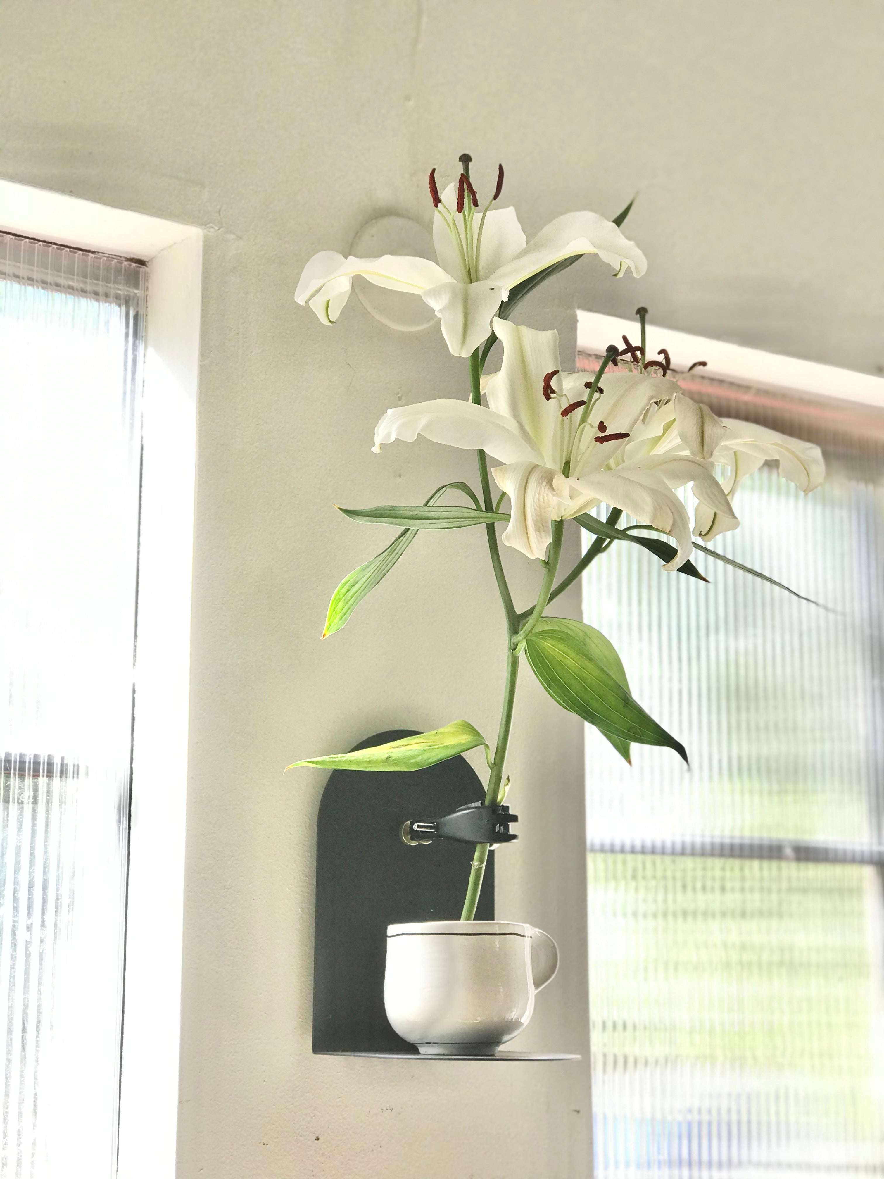 Wall Mount Shelf