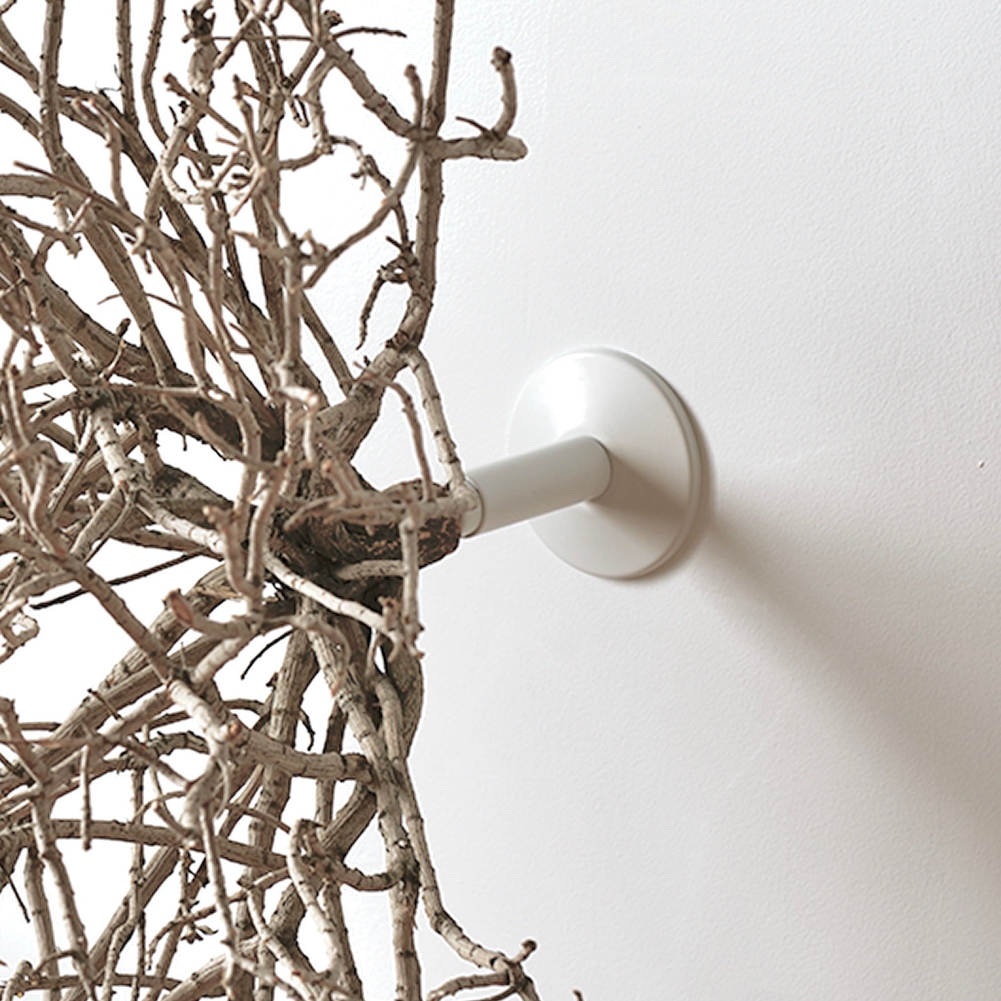 Wall Mount Round
