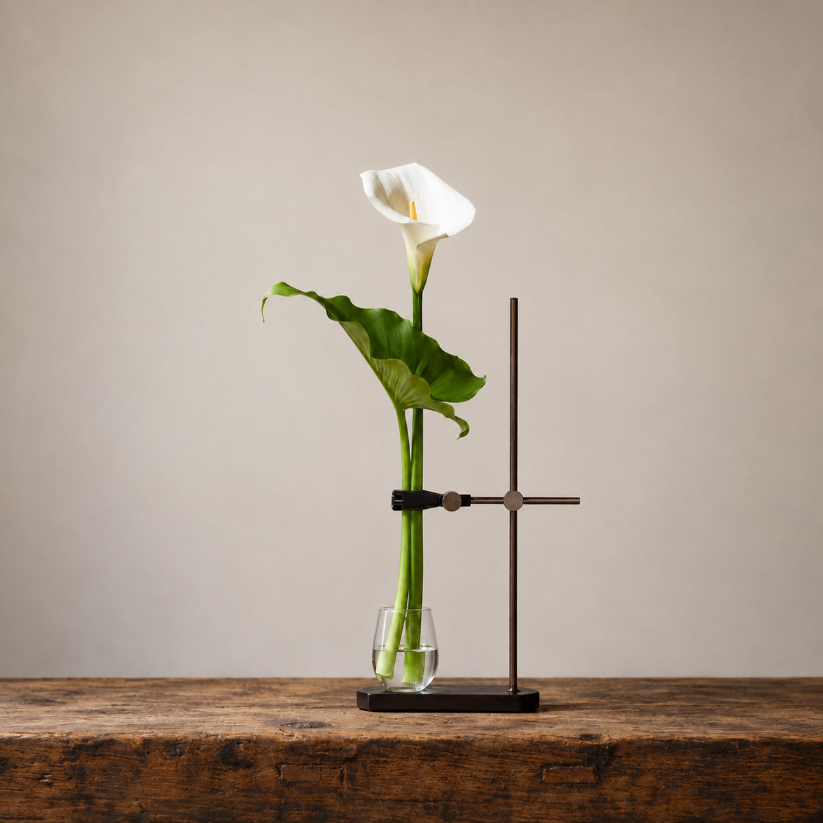 Table Mount