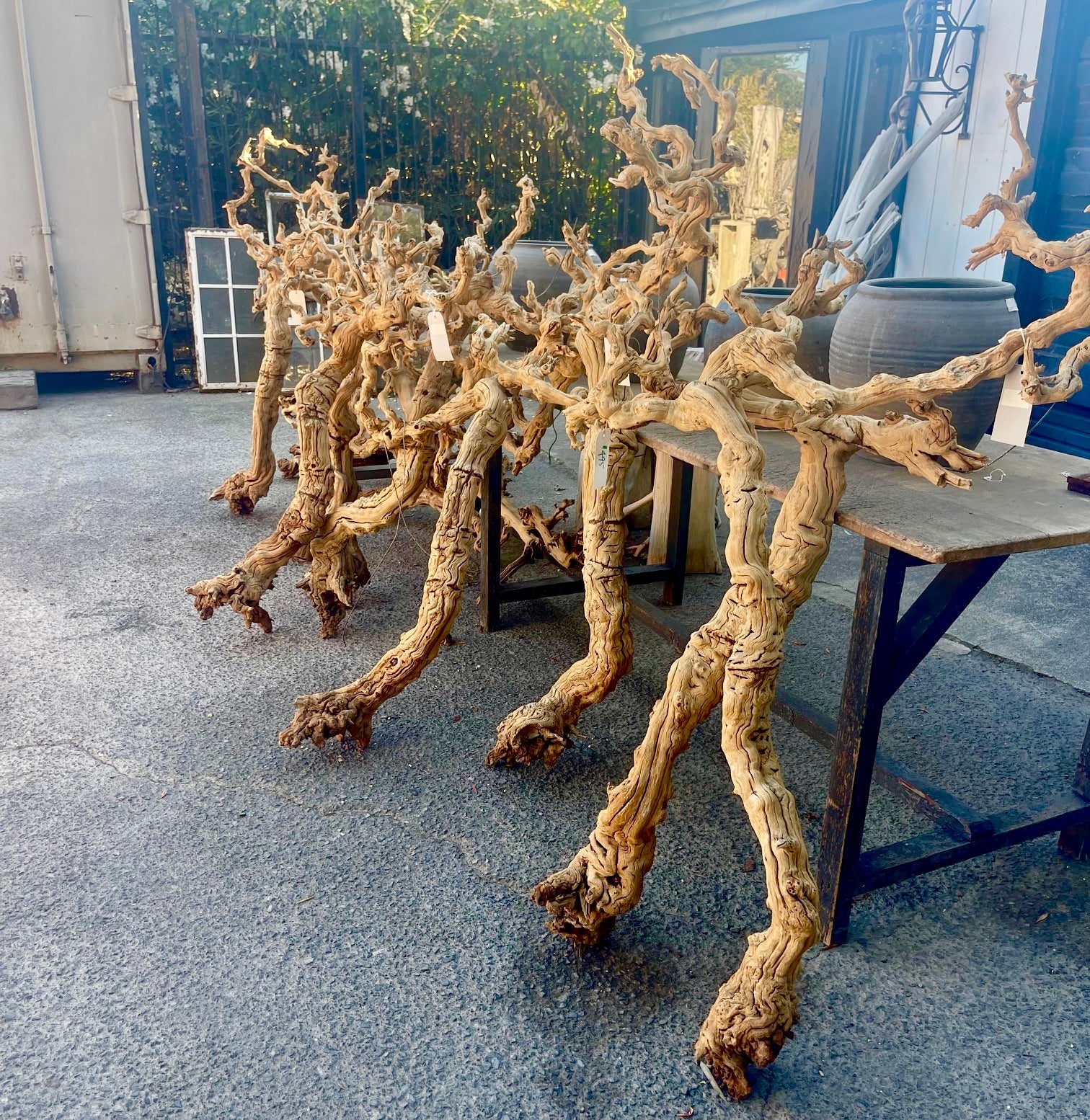 Branches