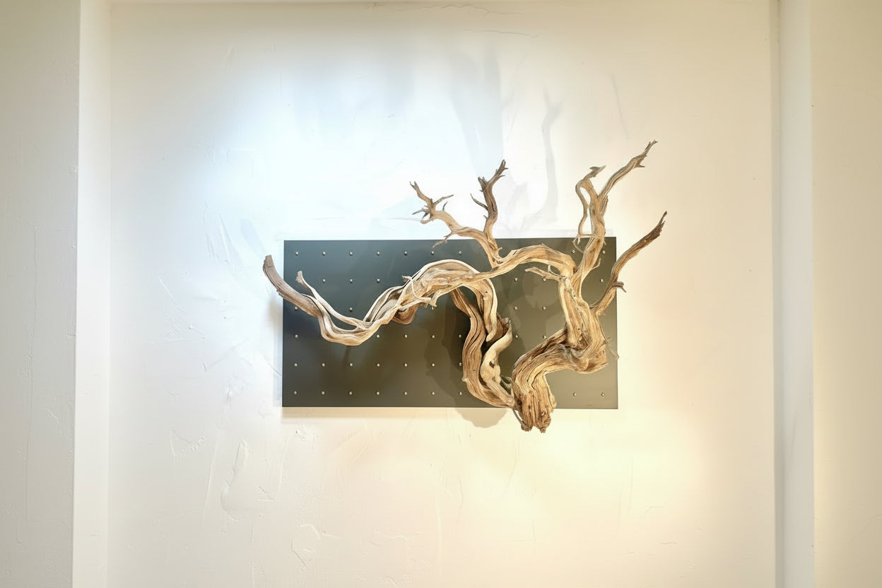 Curator Wall Panel 42" x 42"