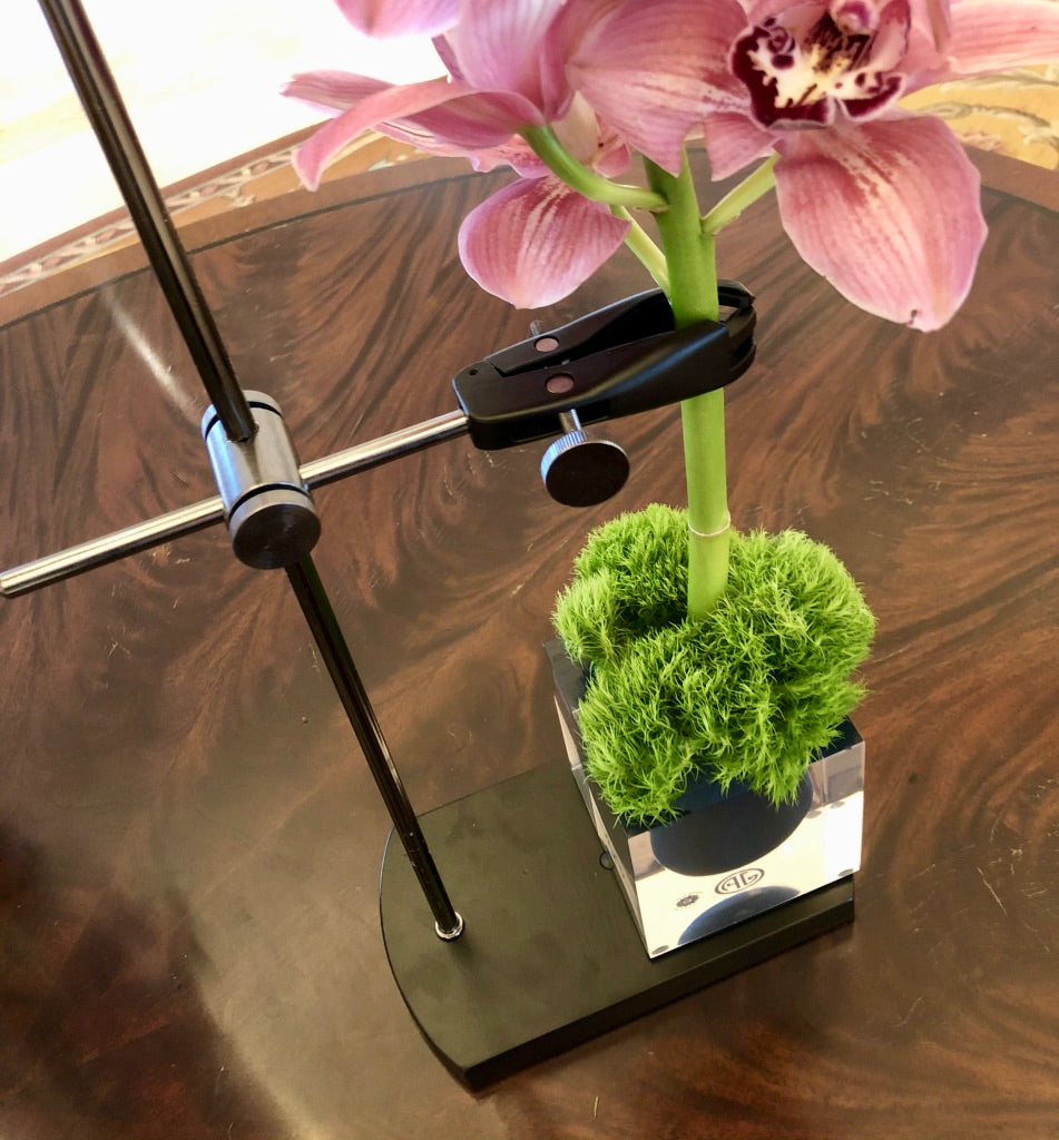 Table Mount