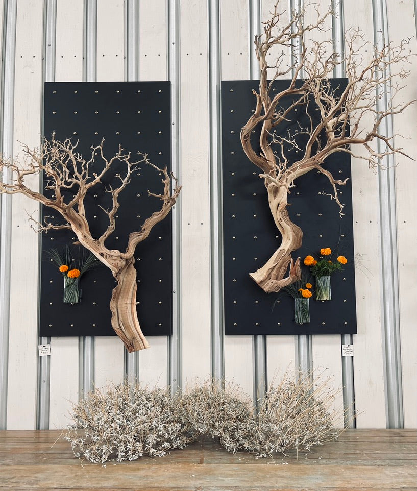 Curator Wall Panel 36" x 72"
