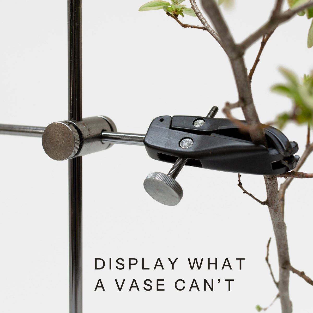 Table Mount