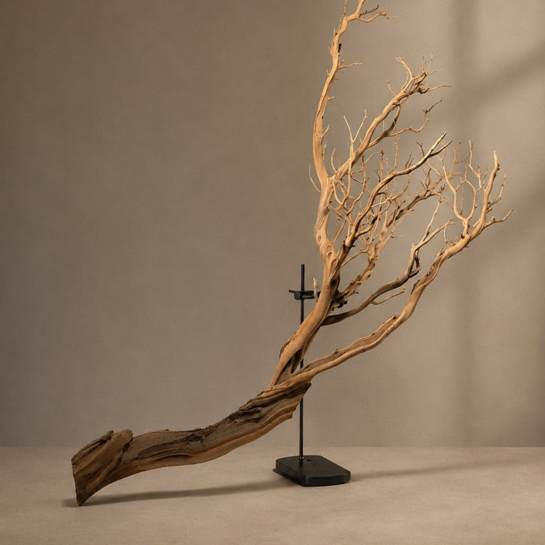 Large rustic manzanita branch held in a angled position by the Artefact Curator Wall Mount
