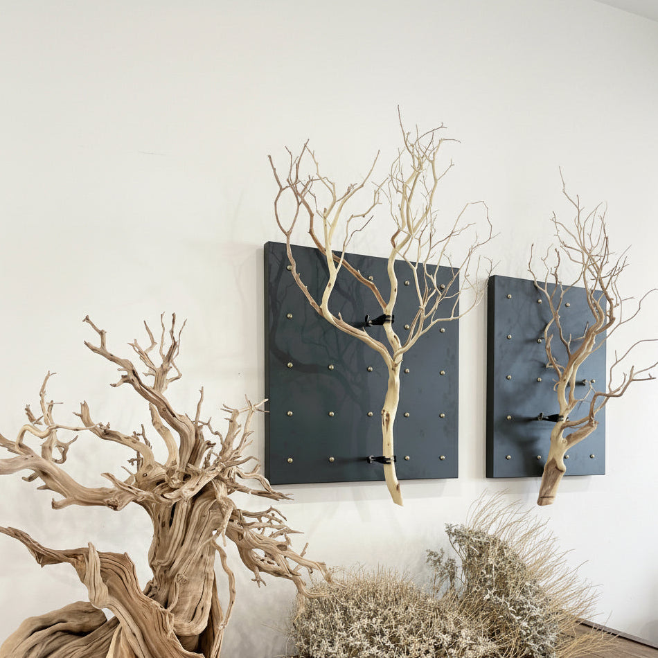 Branches