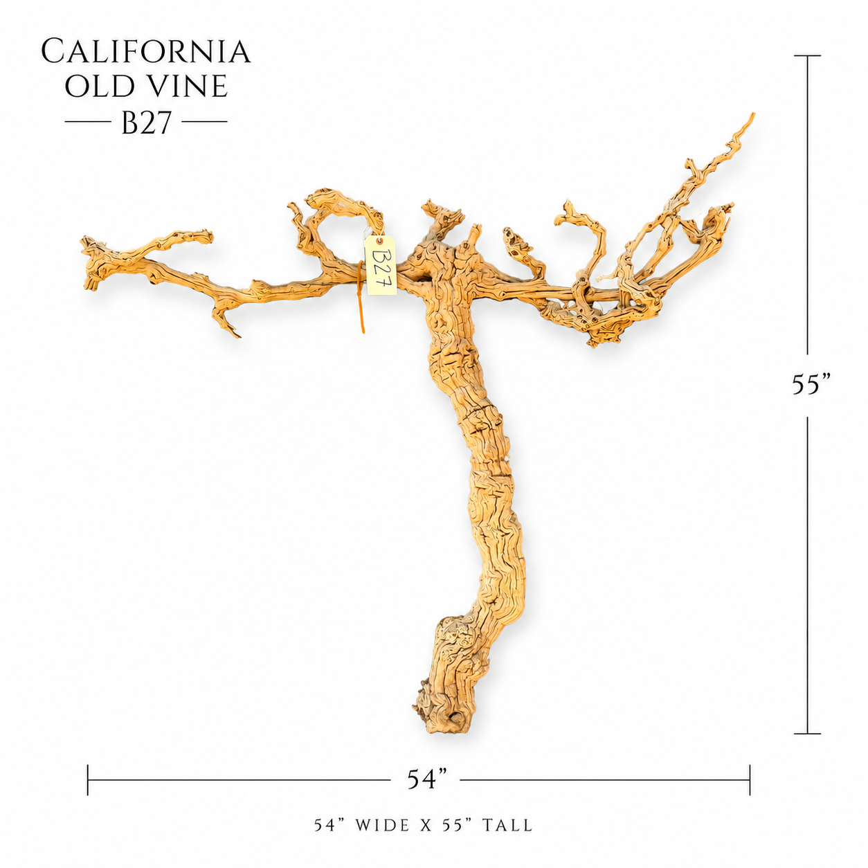 California Old Grapevine B27