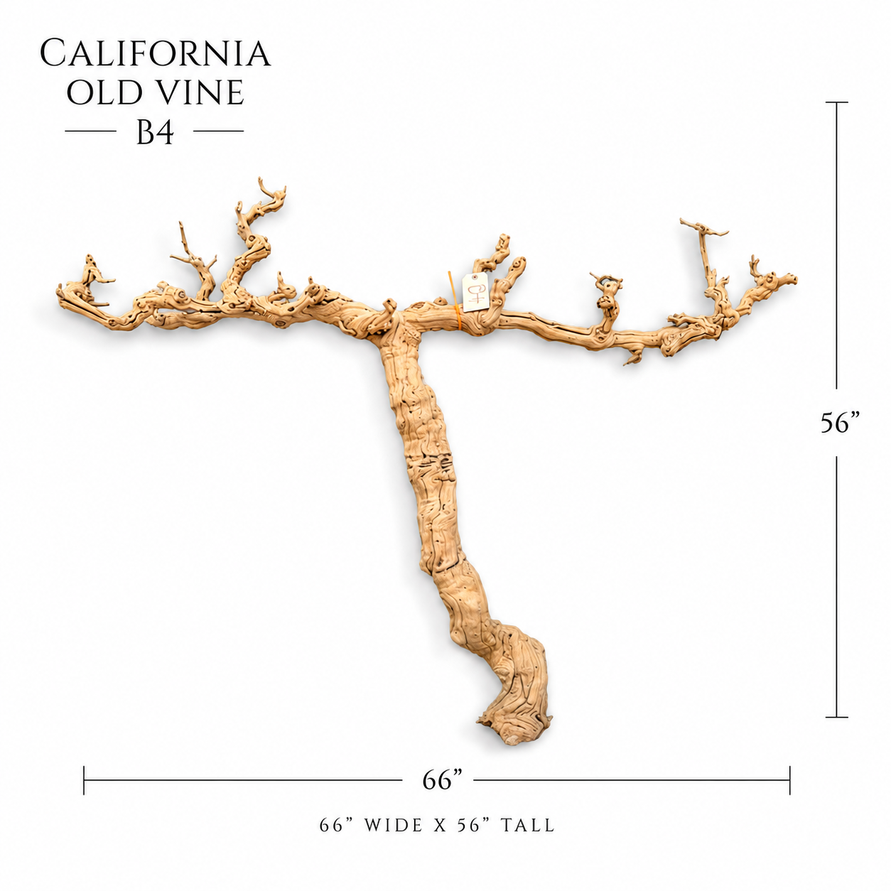 California Old Grapvine B4