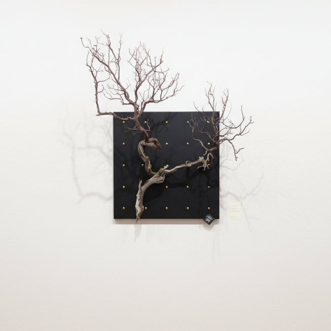 Decorative Curator Wall Panel with Branch