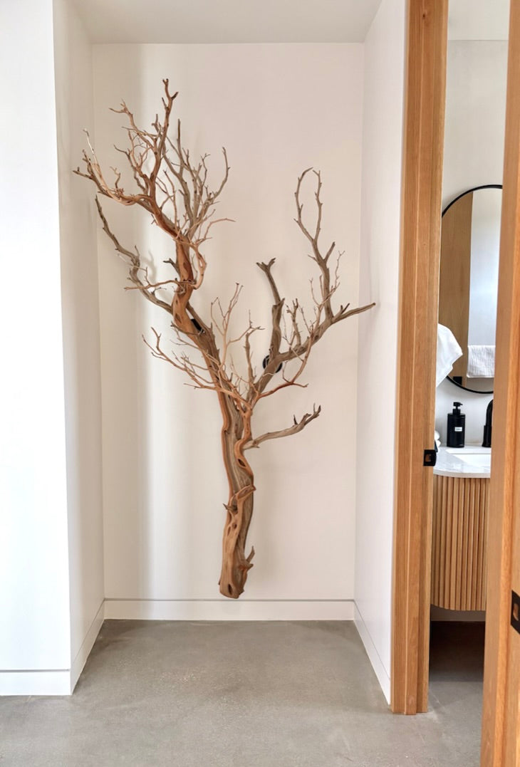 Wall Mounts 2 Pack