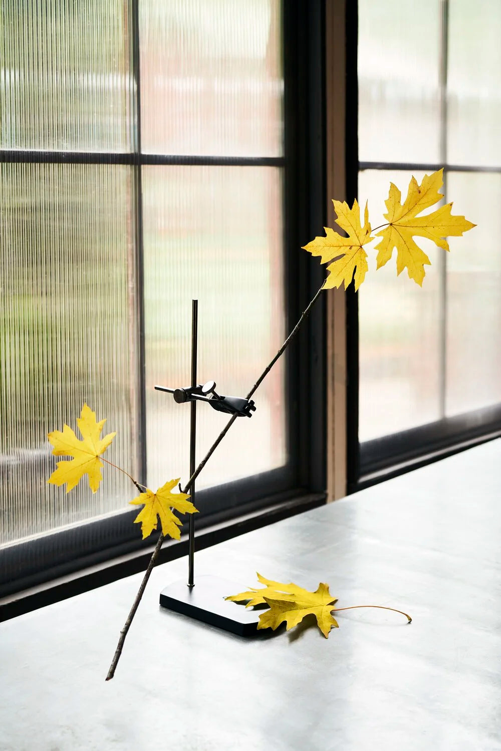 Table Mount