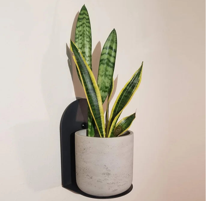 Wall Mount Shelf